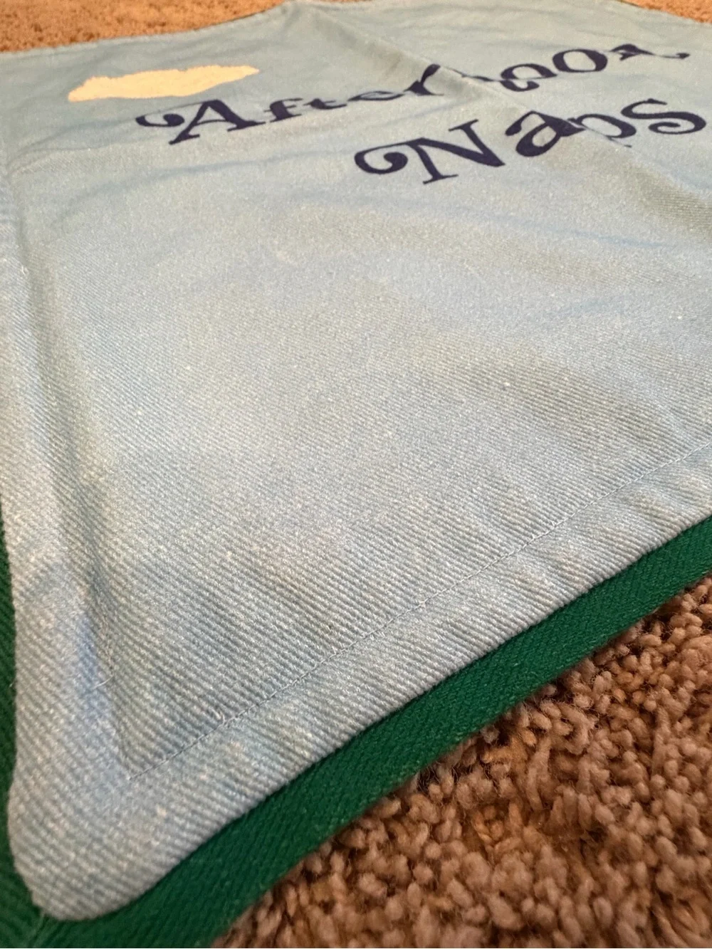 New Anthropologie Afternoon Naps pillow cover Blue clouds bird